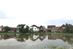 Flutstraße mit teilweise unter Wasser stehenden Häusern, umgeben von Vegetation und Strommasten, unter einem sichtbaren Himmel.