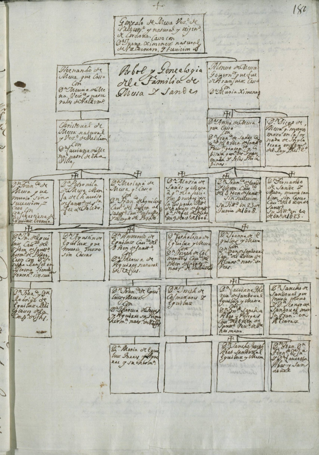 Offenes Buch zeigt eine handgezeichnete Familiengeschichte neben Textseiten und numerischen Listen.