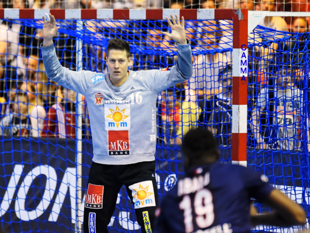 Handballspieler mit erhobenen Händen vor einem Tor bei der Futsal-Weltmeisterschaft 2019, umgeben von einer sitzenden Menge, mit einem Banner und Netz im Vordergrund.