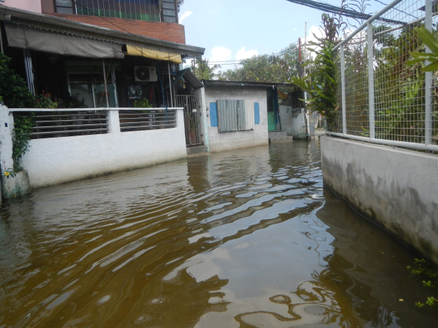 Flutstraße mit Wasser auf dem Boden, Wänden, Geländern, Pflanzen, Bäumen und Gebäuden, einem Zaun auf der rechten Seite und einem bewölkten Himmel im Hintergrund.
