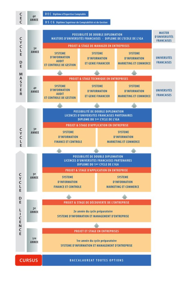 Diagramm, das die organisatorische Struktur eines Unternehmens mit interconnected boxes darstellt, die verschiedene Phasen des Geschäftswachstums und der Entwicklung darstellen, begleitet von Text, der Rollen und Verantwortlichkeiten beschreibt.