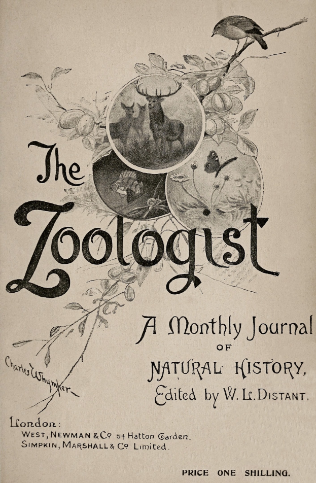 Ein Buch mit dem Titel 'The Zoologist: A Monthly Journal of Natural History' mit einer realistischen Illustration eines Vogels auf dem Cover, umgeben von einem Reh, Kaninchen und Fuchs.
