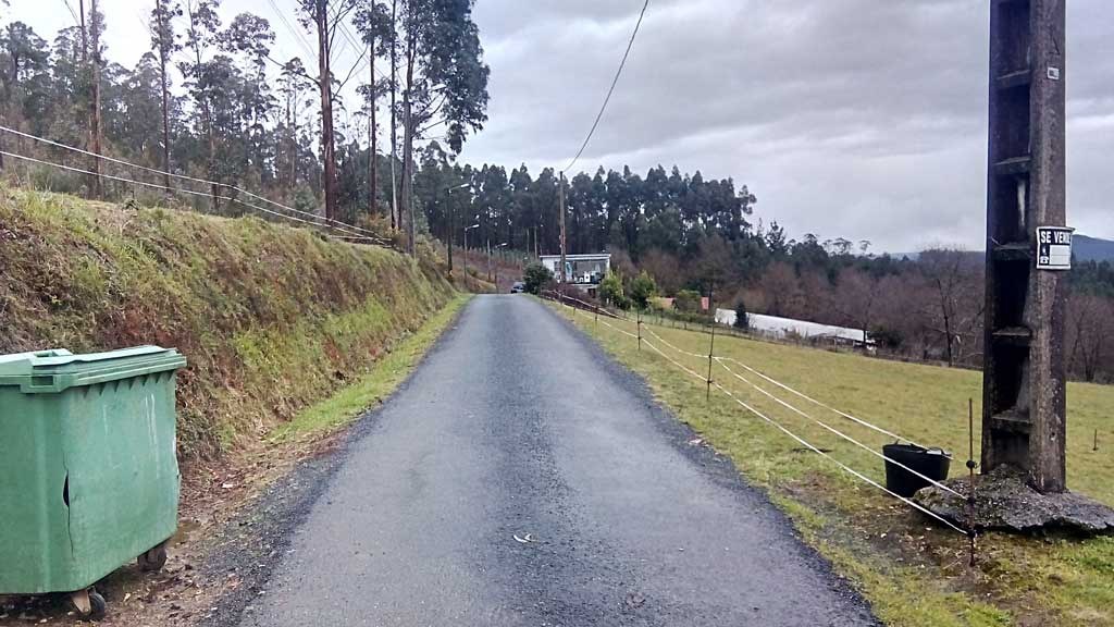Grüner Müllcontainer an der Seite einer Straße umgeben von Gras, Pflanzen, Bäumen, Polen, Dröhnen und einem Zaun, mit einem bewölkten Himmel im Hintergrund und einem Pfahl mit einer Platte auf der rechten Seite.