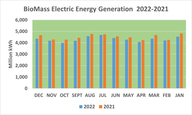 Diagramm, das die Stromerzeugung aus Biomasse von 2022 bis 2021 zeigt, mit begleitendem erklärendem Text.