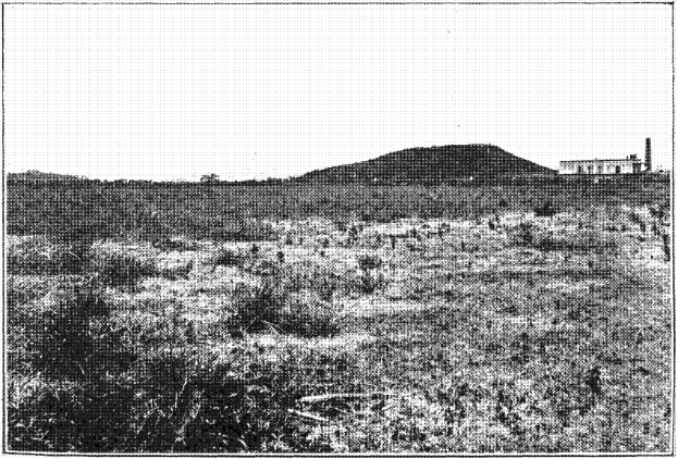 Schwarz-weißes Foto eines Feldes mit einem Hügel im Hintergrund, einem Gebäude auf der rechten Seite und einem Himmel oben, mit dem Text "New York State Penitentiary" unten.