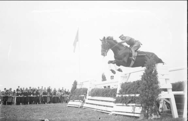 Schwarzes und weißes Foto eines Pferdes und Reiters, die über ein Hindernis springen, bei den 1953er Royal Ascot Horse Trials, mit Zuschauern und einer Fahne im Hintergrund.