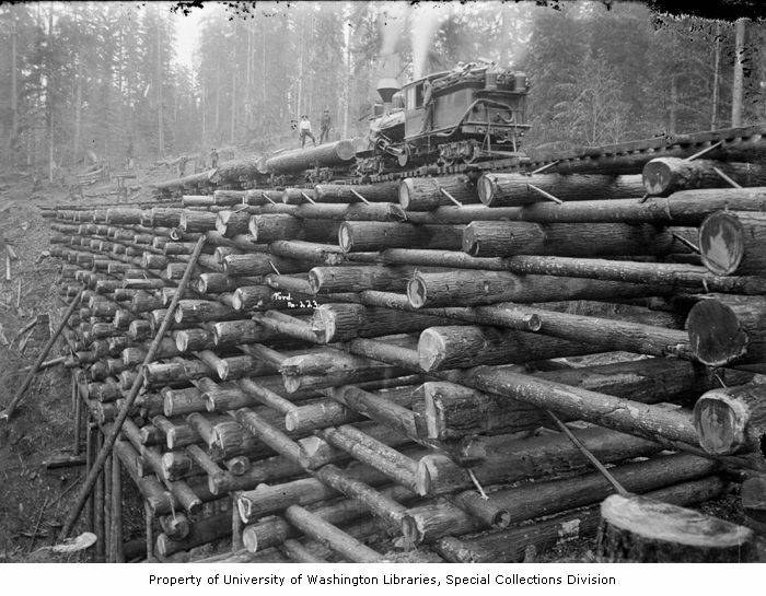 Schwarzes und weißes Foto eines Holzfällerlaster neben einem Haufen Holz in einem bewaldeten Gebiet geparkt, mit mehreren Menschen auf den Holzstämmen stehend und Bäume im Hintergrund sichtbar.