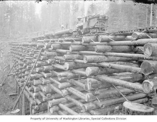 Schwarzes und weißes Foto eines Holzfällerlaster neben einem Haufen Holz in einem bewaldeten Gebiet geparkt, mit mehreren Menschen auf den Holzstämmen stehend und Bäume im Hintergrund sichtbar.