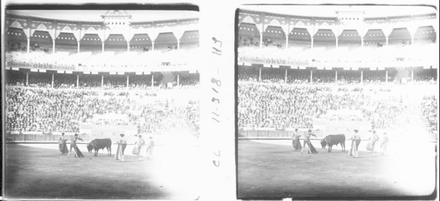 Schwarzes und weißes Foto von einer Stierkampfveranstaltung in einem Stadion mit Zuschauern in den Rängen und Menschen in der Nähe der Stiere im Vordergrund.