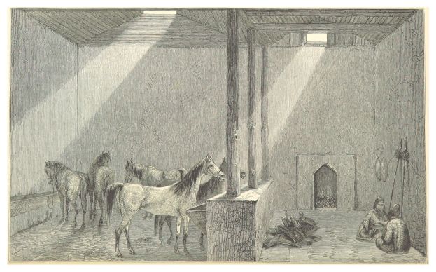 Eine Zeichnung eines Raums mit zwei Pferden, zwei auf dem Boden sitzenden Personen und verschiedenen verstreuten Gegenständen, mit Text unten.