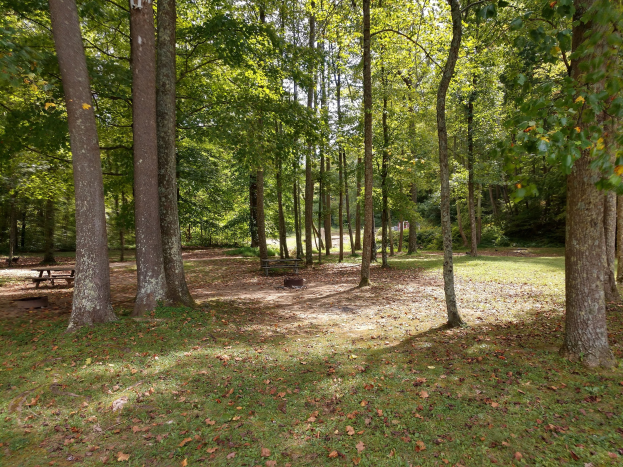 Ein Park mit Bäumen, herabgefallenen Herbstblättern in verschiedenen Farben und verstreuten Bänken.